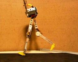 11-runbot-2-legs-2006.jpg