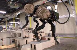 112-big-dog.jpg