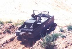 15-weasel.jpg