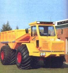 Bergmann dumper