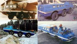 blue-bird-amphibian-3.jpg