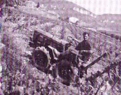 buffle-tractor.jpg