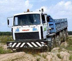 mzkt-79091-8x8.jpg